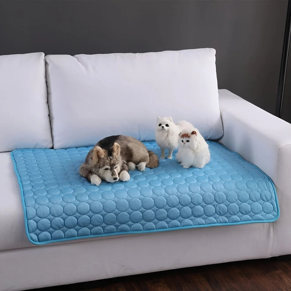 "Keep Your Best Friend Cool and Happy"
